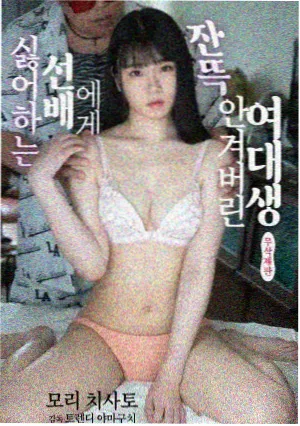 年代剧旧巷灯火剧集封面